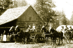 Idaho Wagons
